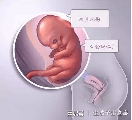 陈若晴 副院长